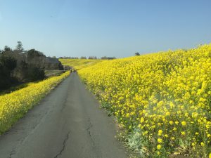 IMG_6139