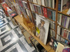 IMG_0174