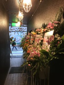 IMG_0899