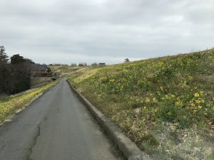 IMG_1710